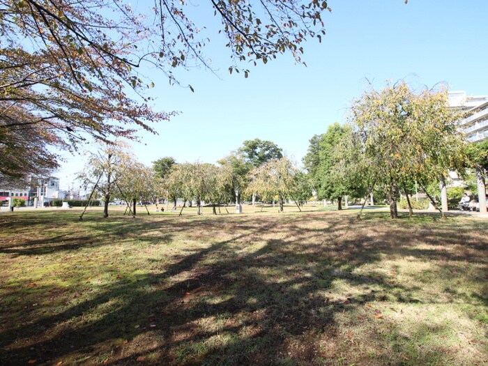福岡中央公園(公園)まで1100m 仮）元福岡戸建　05