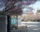 三宿の森緑地園(公園)まで110m メゾンドアゼリア