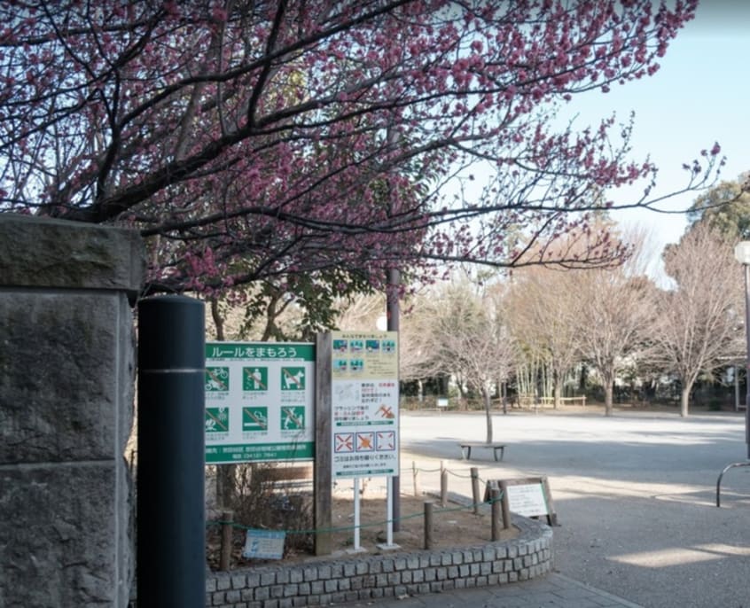 三宿の森緑地園(公園)まで110m メゾンドアゼリア