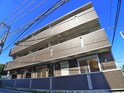 完成写真