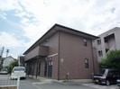アンプルールブワ　スギの外観
