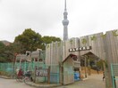 わんぱく公園(公園)まで850m S-RESIDENCE押上Blossom
