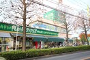 食品館あおば　初山店(スーパー)まで656m カルム　ジャルダン