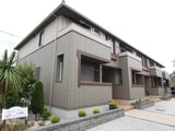 Cotton Rose壱番館
