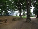 駒沢緑泉公園(公園)まで220m プレール・ドゥーク駒沢公園