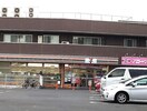 セブンイレブン(コンビニ)まで200m セブンフィールド