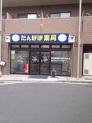 たんぽぽ薬局 大口店(病院)まで190m グランフェリオ横浜大口