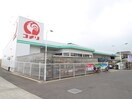 コメリ(電気量販店/ホームセンター)まで600m レジデンス川上