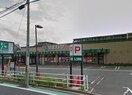 京急ストア(スーパー)まで1000m ビュ－ハイム・コヤナギ・岡村