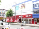 ロピア馬絹店(スーパー)まで235m Kolet宮崎台5