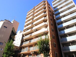 ﾗｲｵﾝｽﾞﾏﾝｼｮﾝ東池袋第２(501)