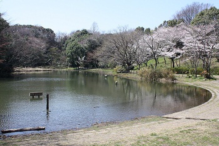 鴨池公園(公園)まで726m スウィ－ルフォワイエＢⅠ