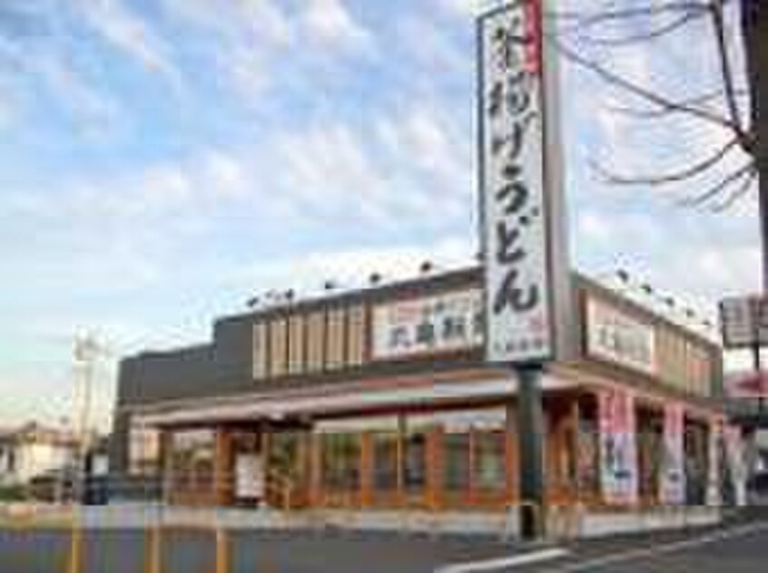 丸亀製麺　朝霞店(その他飲食（ファミレスなど）)まで244m シャトレ新座