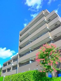 ﾀﾞｲｱﾊﾟﾚｽﾊﾟｰｸﾃﾞｭｵ上石神井702