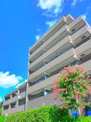 ﾀﾞｲｱﾊﾟﾚｽﾊﾟｰｸﾃﾞｭｵ上石神井702