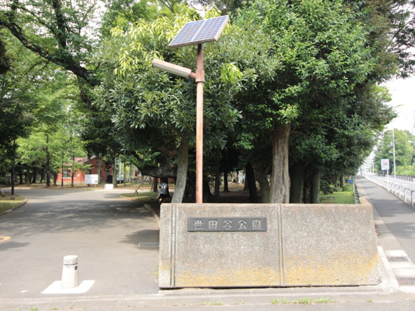 世田谷公園(公園)まで400m グランエッグス祐天寺Ａ