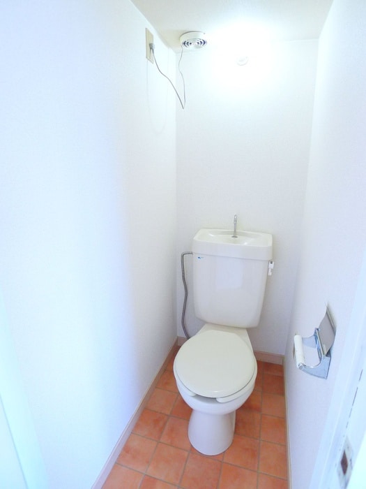 トイレ ヒロ大巌寺