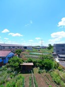 室内からの展望 ヒロ大巌寺