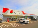 ドラッグストアセキ 新河岸店(ドラッグストア)まで1300m トゥルーハート