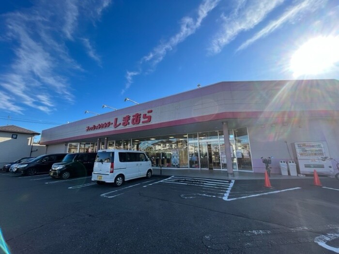 ファッションセンターしまむら中新井店(ディスカウントショップ)まで787m 郊外マンションE棟（301）