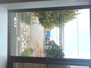 室内からの展望 パルレ
