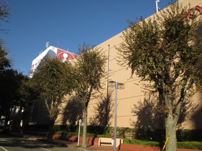 キャンドゥ(東急内)(100均)まで309m セジュ－ル中央林間