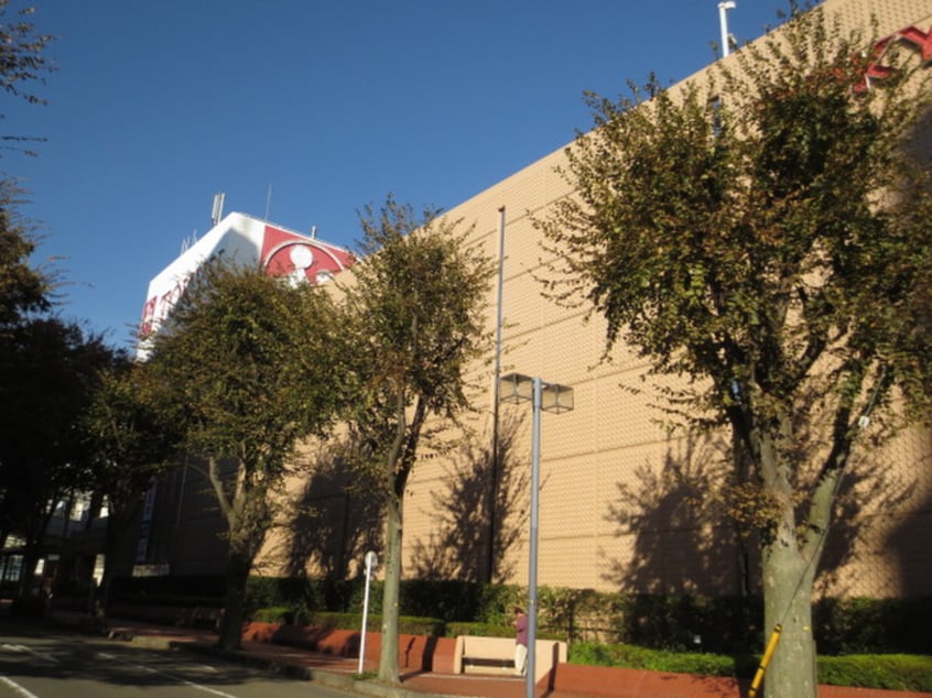 キャンドゥ(東急内)(100均)まで309m セジュ－ル中央林間