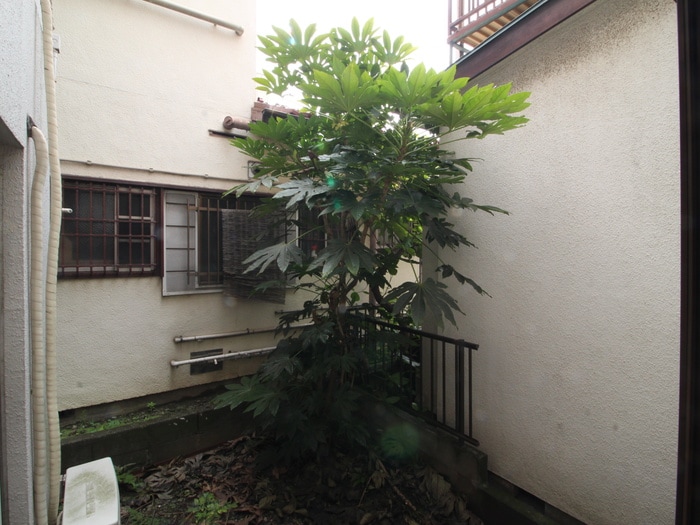 室内からの展望 クリエール・２１