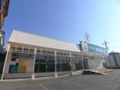セイムス(ドラッグストア)まで75m アフェット稲毛６