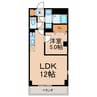 ＭＳパラッゾ 1LDKの間取り
