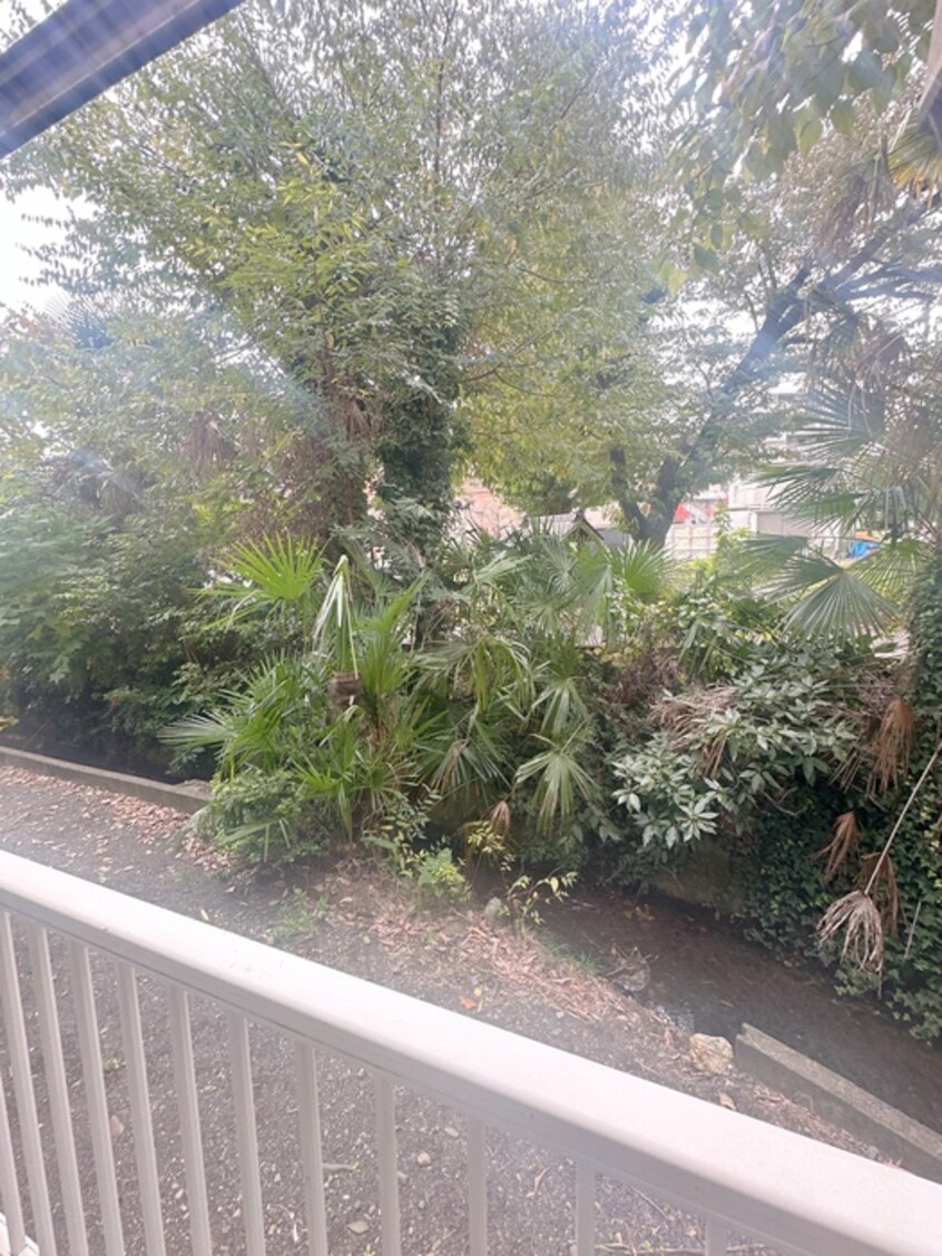 室内からの展望 ＴＭハシモト