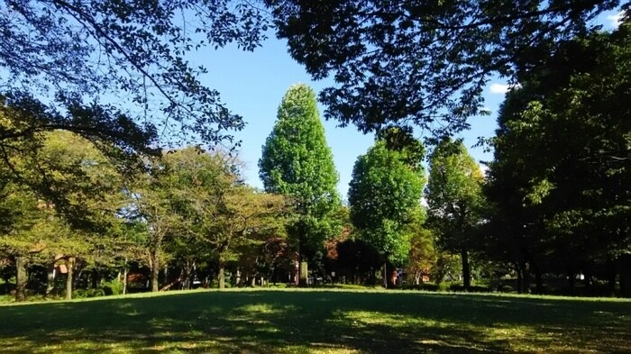 日野中央公園(公園)まで680m ロ-ズパレット　Ｂ