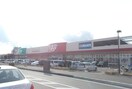 クリエイトエス・ディーロピアモール小田原高田店(ドラッグストア)まで879m プラムハイツB