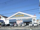 TSUTAYA(本屋)まで79m サンリッチマンション(302)