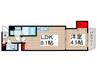 ＨＳ八柱 1LDKの間取り