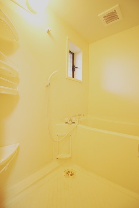 バス／シャワールーム等 スカイパレス光が丘