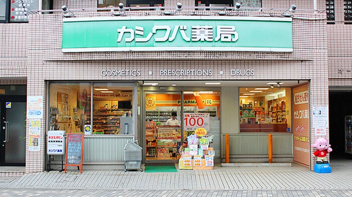 カシワバ薬局　柏葉店(ドラッグストア)まで290m クリオ山手弐番館(206)