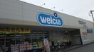 ウエルシア 立川柏町店(ドラッグストア)まで350m シャトレーヌ柏