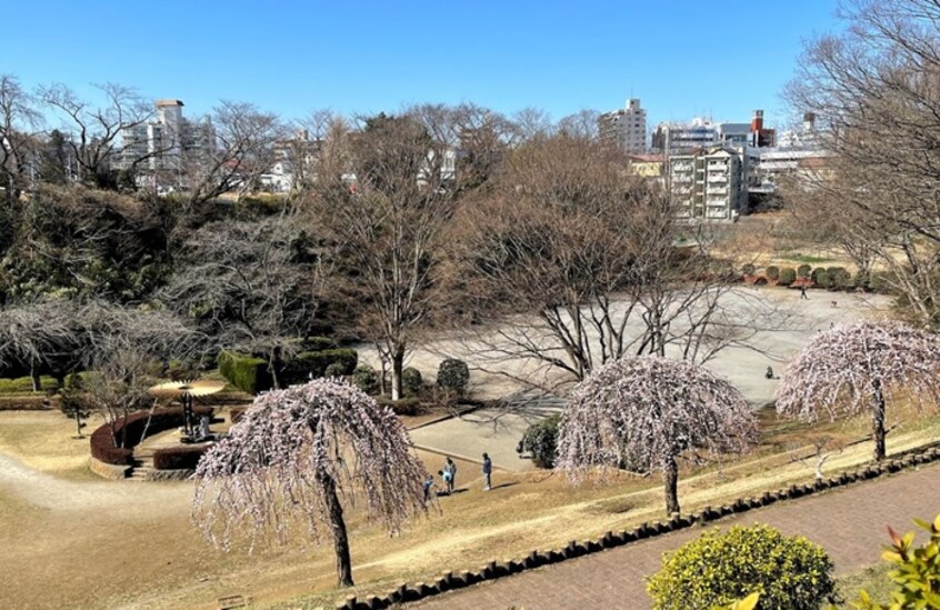 かにが沢公園(公園)まで160m ハイツサリンジャー