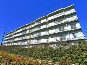 東新井団地１４号棟(504)