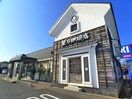 星野珈琲店(カフェ)まで228m ハイムにれの木