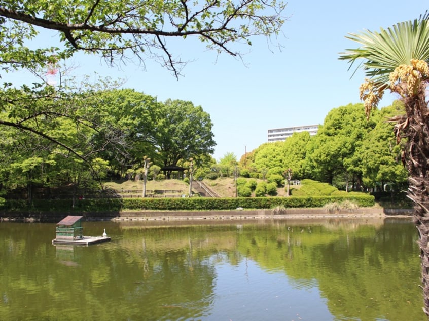 鹿沼公園(公園)まで864m ユウキハイツ