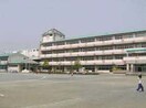 所沢市立和田小学校(小学校)まで550m 第23北斗ビル