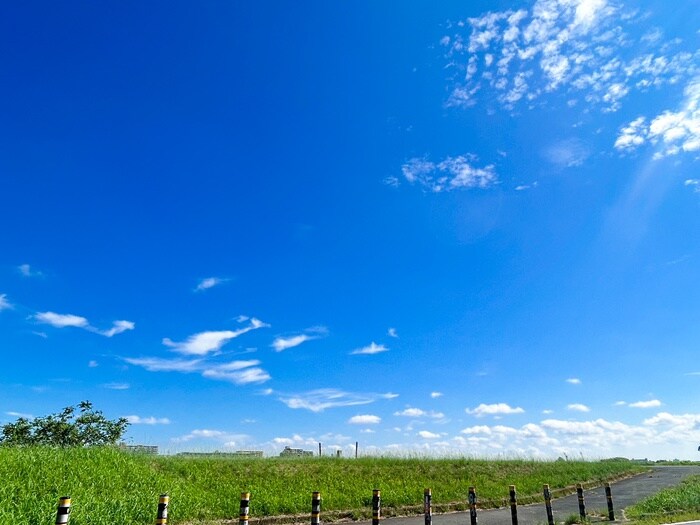 周辺環境 ユナイト中野島アルバトロス