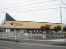 ヤオマサ 大磯店(スーパー)まで263m パークサイド