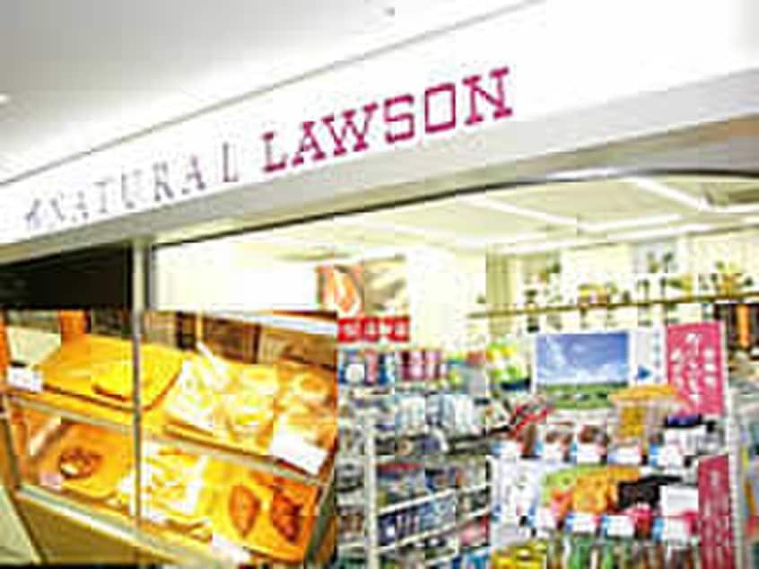 ローソン(コンビニ)まで193m 中野ｎｉｎｅｓ ｃｏｒｅ