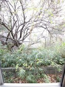 室内からの展望 SKT生田