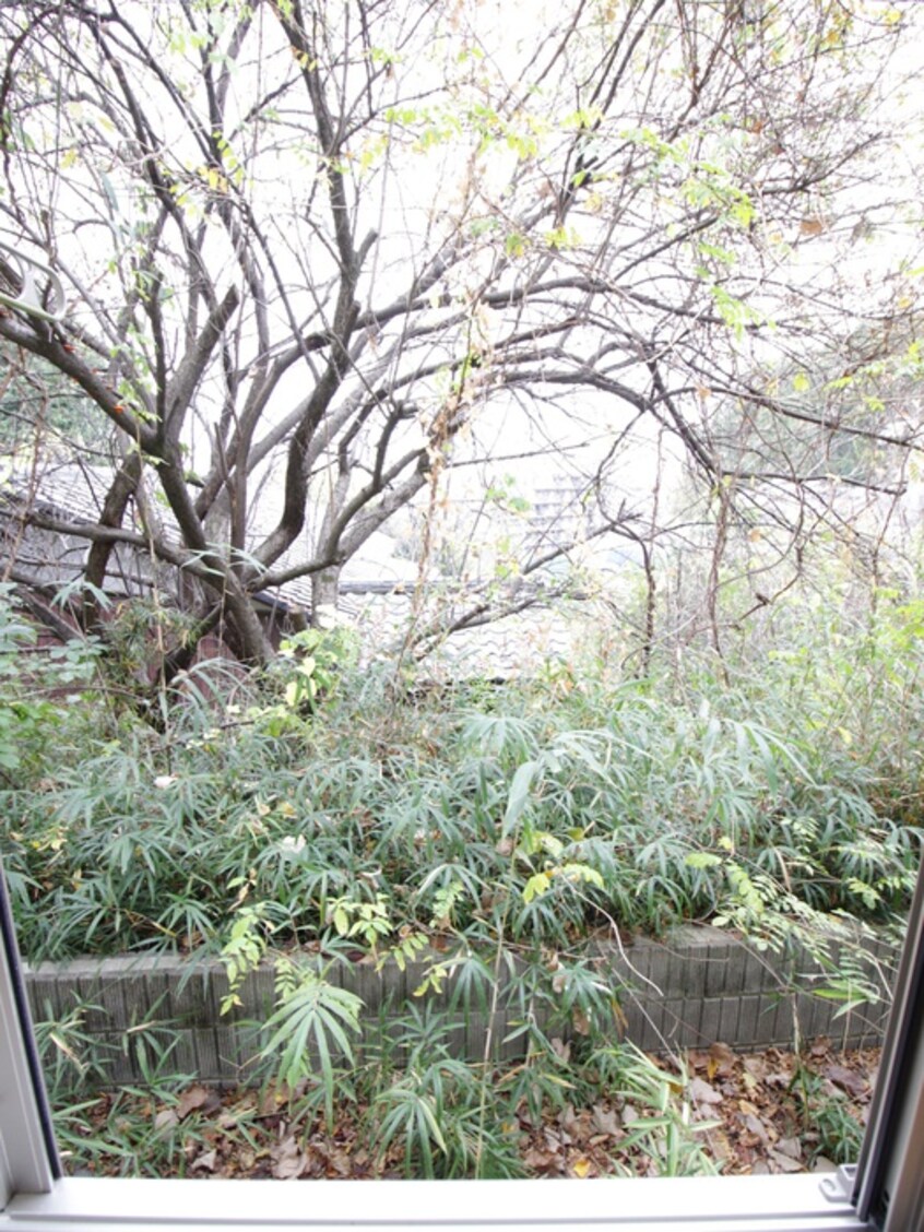 室内からの展望 SKT生田