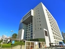 船橋市役所(役所)まで319m Ｍ．ｈｏｕｓｅ ルビー