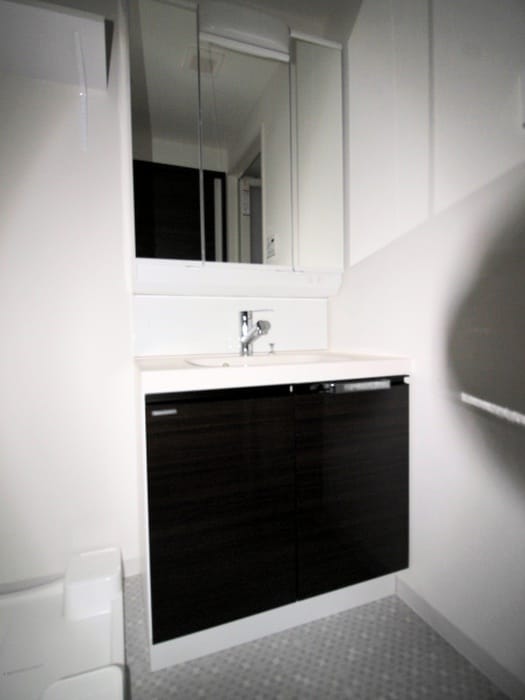 洗面 ｼﾞｪﾉｳﾞｨｱ両国Ⅴｽｶｲｶﾞｰﾃﾞﾝ